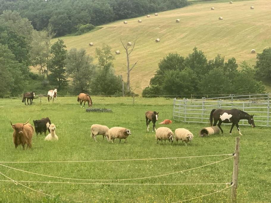Gite A La Ferme Avec Jacuzzi Et Piscine Chauffee Saint-Felix-de-Tournegat Exteriér fotografie